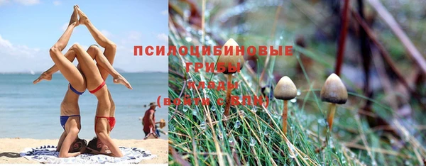 первитин Алексеевка