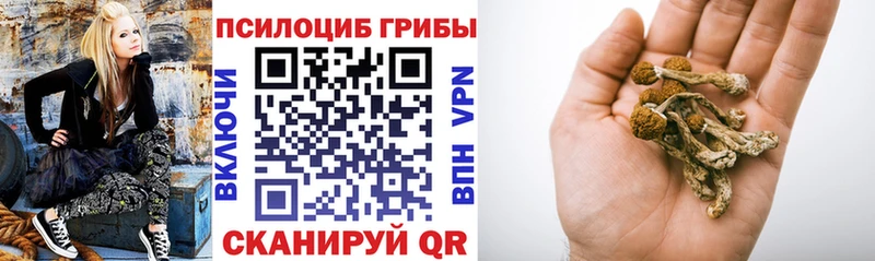 сколько стоит  Кемь  Псилоцибиновые грибы мицелий 